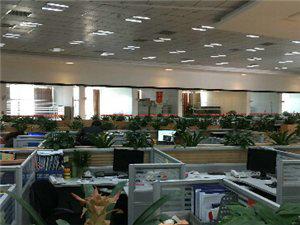 周口市華耀城高清監(jiān)控項(xiàng)目